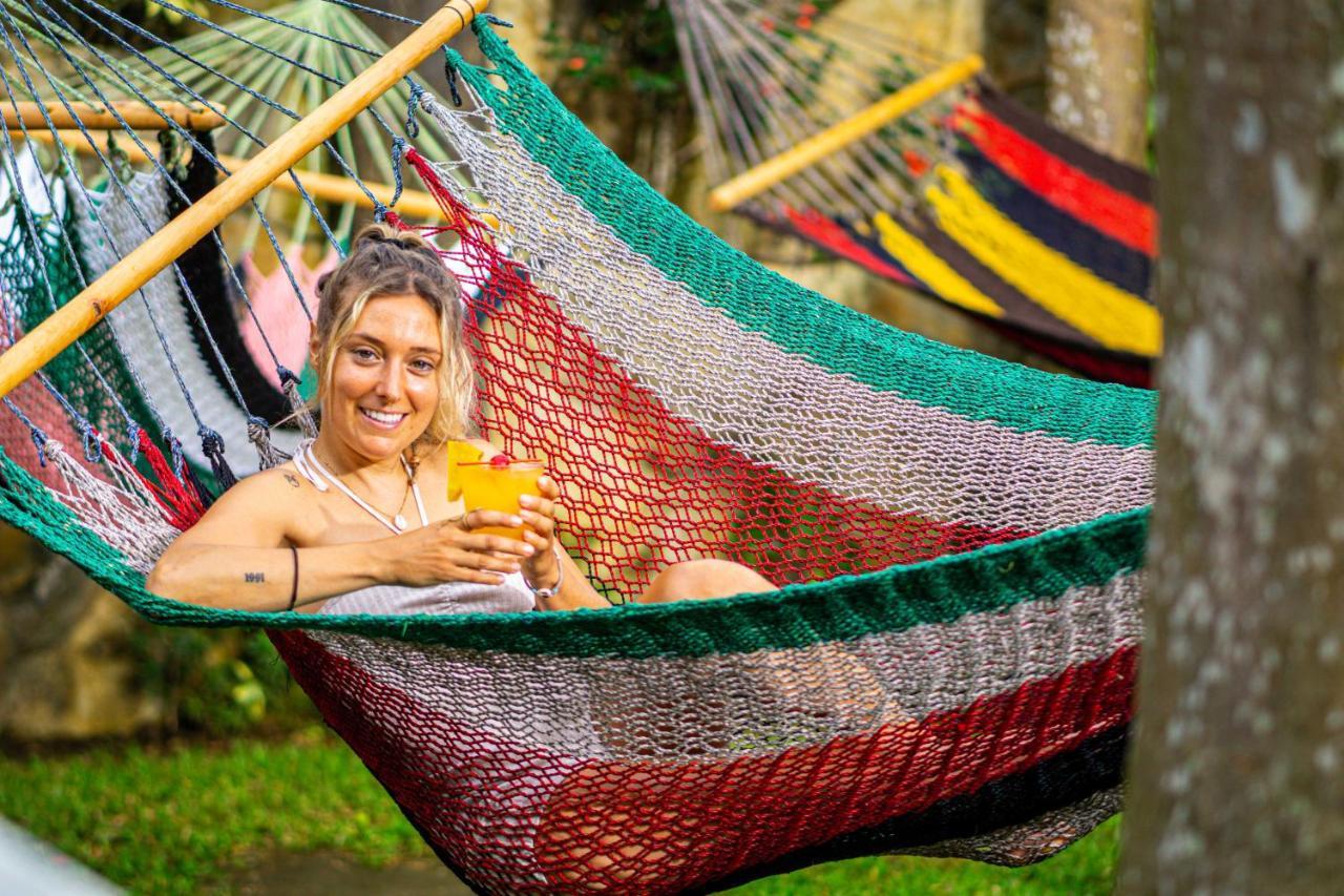 Arenal Poshpacker Vandrarhem La Fortuna Exteriör bild